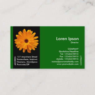 Cartão De Visita Flor Banda Preta - Marigold Laranja - Verde