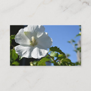 Cartão De Visita Flor Branco Azul Sky Garden Natureza Foto Floral