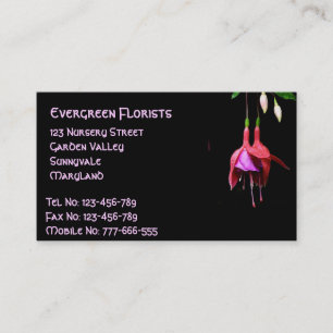 Cartão De Visita Flor de Fúchsia Rosa
