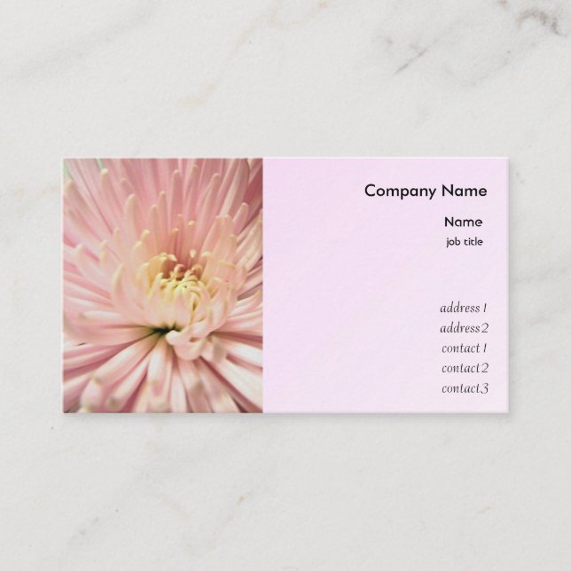 Cartão De Visita Flor de rosa claro crisântemo (Frente)