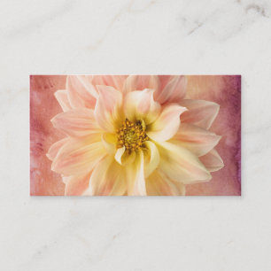 Cartão De Visita Flor Flor Flor Rosa Dahlia