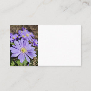 Cartão De Visita Flor roxa