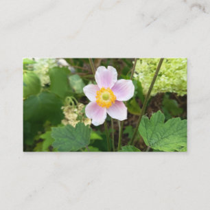 Cartão de Visita Flor Silvestre Rosa Floral Botâ