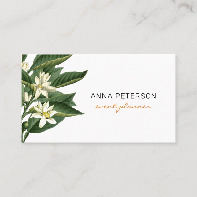 Cartão De Visita Flores de Fruta Laranja Moderna Elegante (Frente)