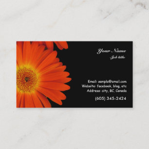 Cartão De Visita flores de gerbera margarida laranja