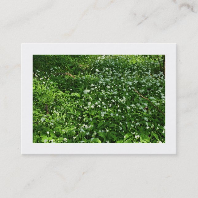 Cartão De Visita Flores De Madeira (Bordada) (Frente)