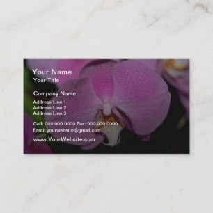 Cartão De Visita Flores do Phalaenopsis