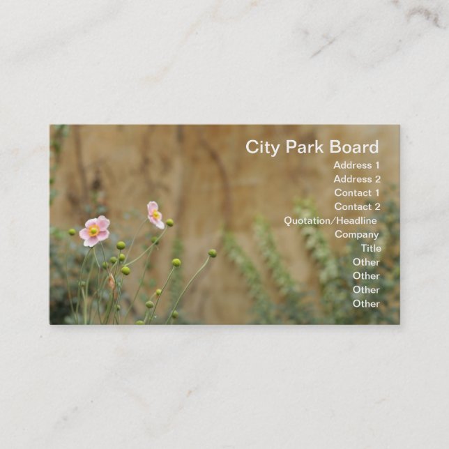 Cartão De Visita Flores Rosa Contra Muro de Igreja (Frente)