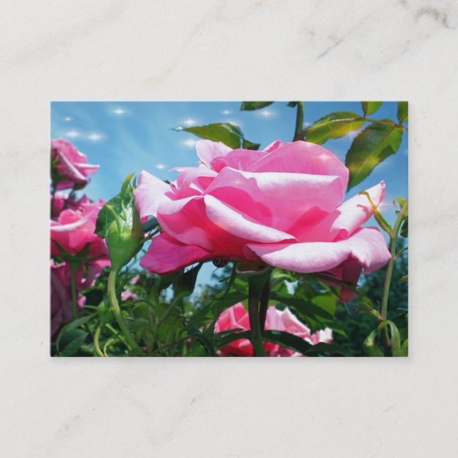 Cartão De Visita Flores rosas rosa-belas, de perfil azul-céu (Frente)