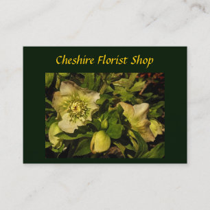 Cartão De Visita Florista do Hellebore do rosa quaresmal