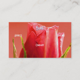 Cartão De Visita Florista - Rosa Rosa Rosa Rosa