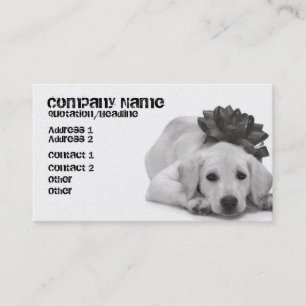 Cartão De Visita Fonte do animal de estimação/Groomer/etc.