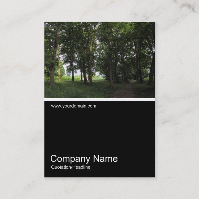 Cartão De Visita Foto 0356 - Woods, Bute Park, Cardiff (Frente)