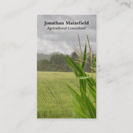 Cartão De Visita Foto agrícola da paisagem do milho