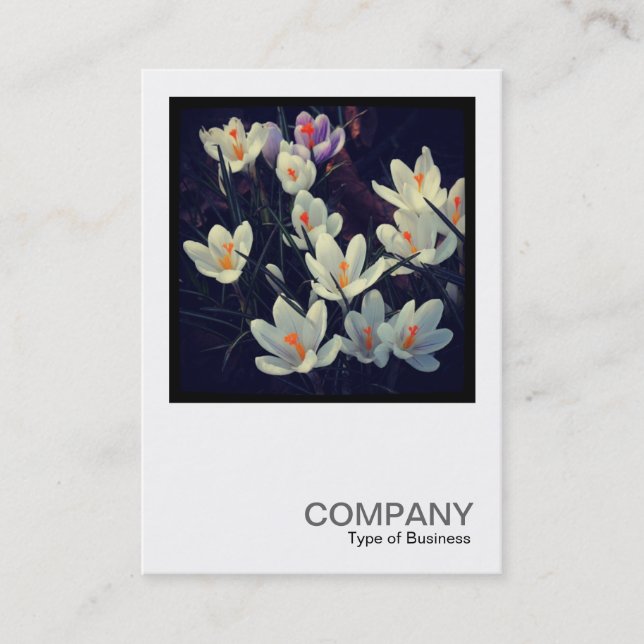 Cartão De Visita Foto ao quadrado 0432 - Crocuses (Frente)