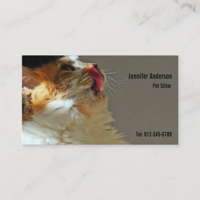 Cartão De Visita Foto Bonita E Bonita De Sammi De Gato (Frente)