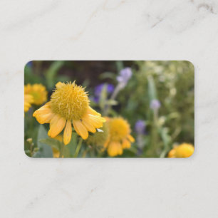 Cartão De Visita Foto bonito Floral Natural do Jardim das Flores Am