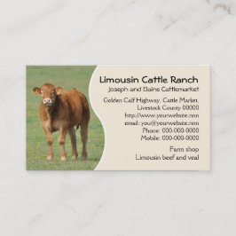 Cartão De Visita Foto da vitela do rancho de gado de Limousin