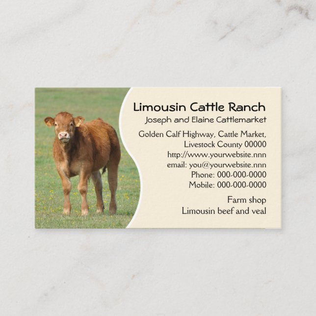 Cartão De Visita Foto da vitela do rancho de gado de Limousin (Frente)