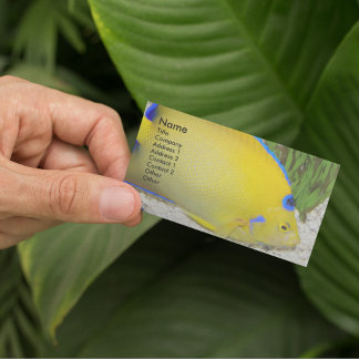 Cartão De Visita Foto de Angelfish, Rainha Amarela e Azul