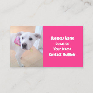 Cartão De Visita Foto de Cachorro Branco Cachorro Gelado Rosa