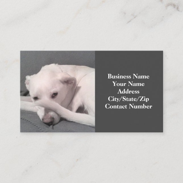 Cartão De Visita Foto de Cachorro Branco Engraçado com Cauda na Cin (Frente)