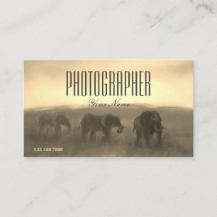 Cartão De Visita Foto de Pintura Foto Safari Fotógrafo Sunset