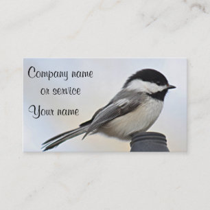 Cartão De Visita Foto do Chickadee