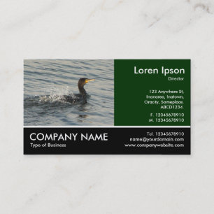 Cartão De Visita Foto Fotografada - Aprendendo Cormorante à Natação