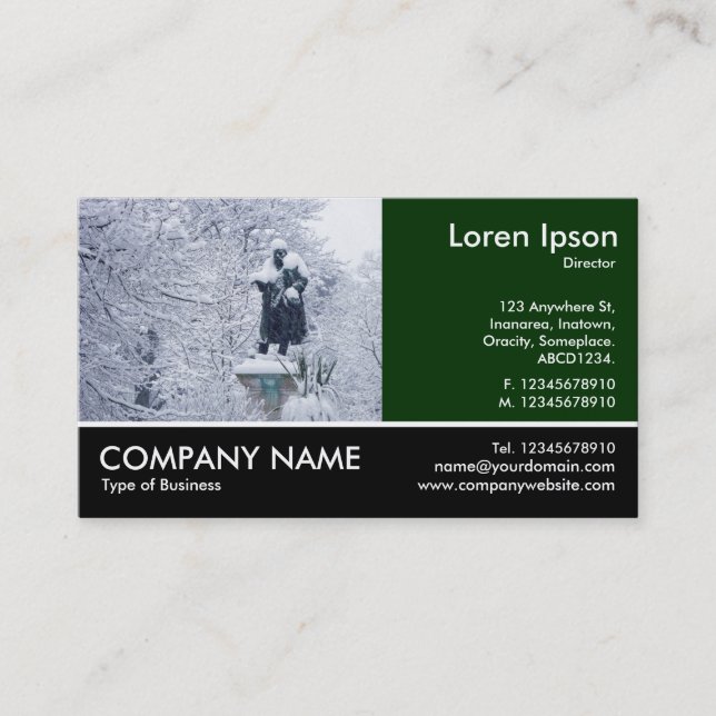 Cartão De Visita Foto Fotografada - Dk Green - Neve no Parque (Frente)