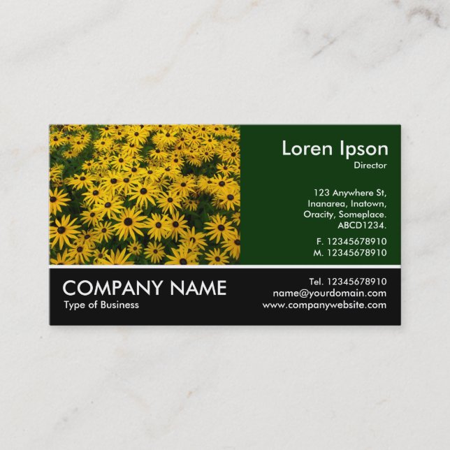 Cartão De Visita Foto Fotografada - Verde-k - Susanos de Olho Negro (Frente)