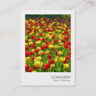 Cartão De Visita Foto Instantânea 017 - Tulipas