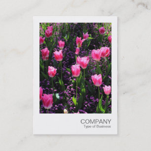 Cartão De Visita Foto instantânea 089 - Cama de Tulipas Rosa