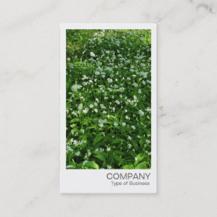 Cartão De Visita Foto instantânea - Alho selvagem