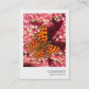 Cartão De Visita Foto instantânea - Borboleta de vírgula no Sedum