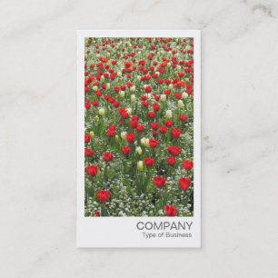 Cartão De Visita Foto instantânea - Cama de Tulipas