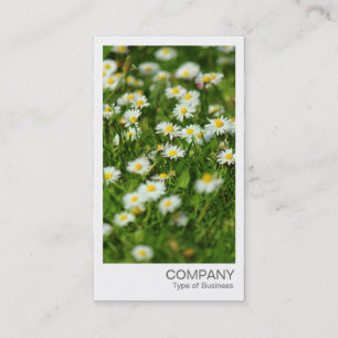 Cartão De Visita Foto instantânea - Daisy Meadow