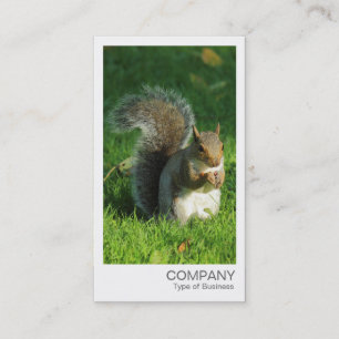 Cartão De Visita Foto instantânea - Loucos de alimentação de esq