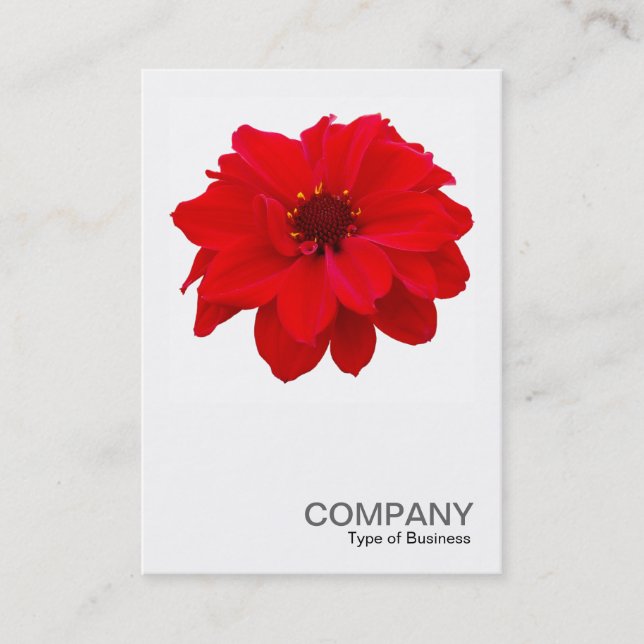 Cartão De Visita Foto quadrada 0160 - Dahlia, Bispo de Llandaff (Frente)