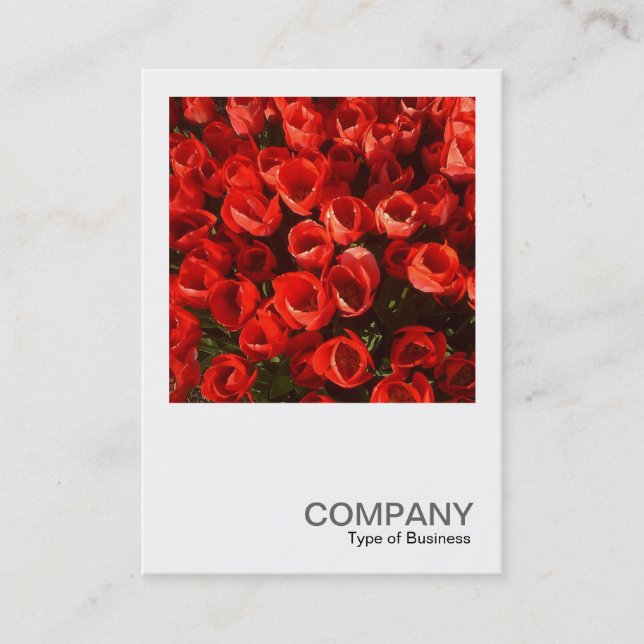 Cartão De Visita Foto Quadrada 01 - Tulips (Frente)