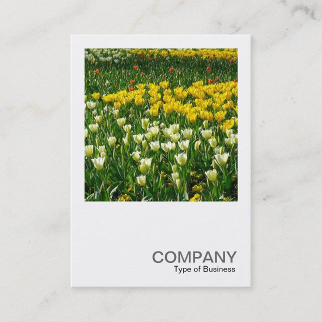 Cartão De Visita Foto quadrada 0200 - Spring Flowers (Flores de pri (Frente)