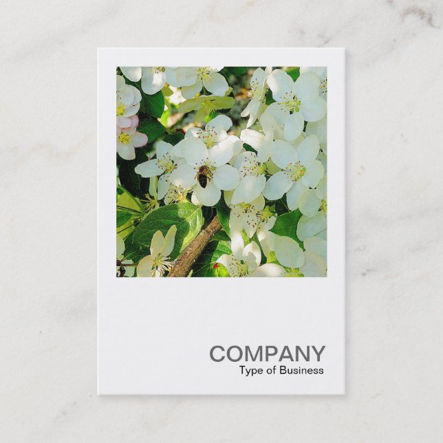 Cartão De Visita Foto quadrada 0323 - Fazer Honey (Frente)