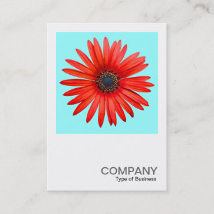 Cartão De Visita Foto quadrada 0344 - Red Devil on Ice Blue