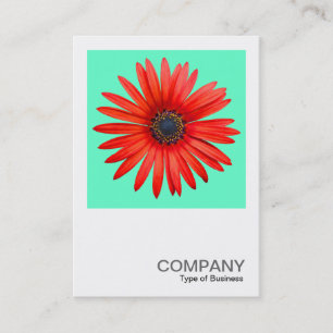 Cartão De Visita Foto quadrada 0344 - Red Devil on Turquoise