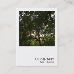 Cartão De Visita Foto quadrada 0375 - Japoneses Branches