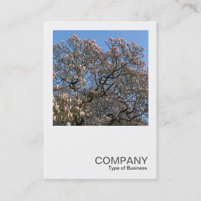 Cartão De Visita Foto quadrada 0390 - Magnolia Trees in Blossom (Frente)