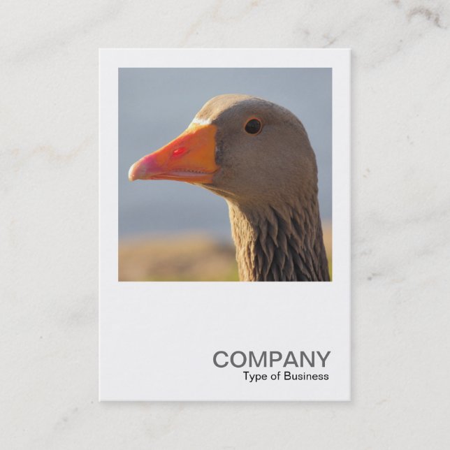 Cartão De Visita Foto Quadrada 0393 - Ganso Inquisitivo (Frente)