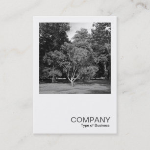 Cartão De Visita Foto Quadrada 0413 - Trees, Bute Park, Cardiff