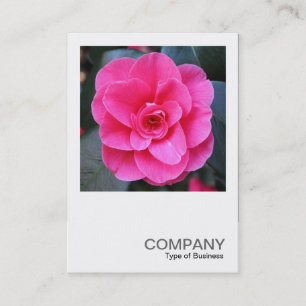 Cartão De Visita Foto Quadrada 0429 - Pink Camellia