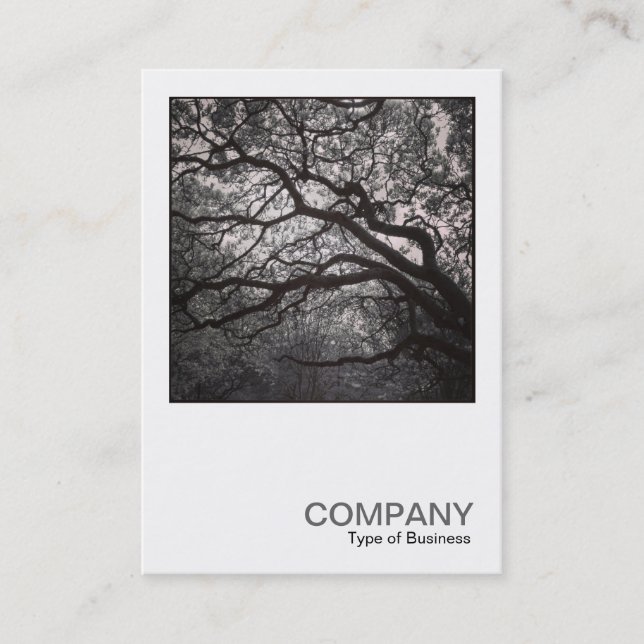 Cartão De Visita Foto quadrada 0462 - Magnolia Tree in Blossom 01 (Frente)